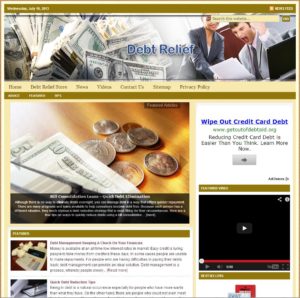 Debt Relief Niche Website