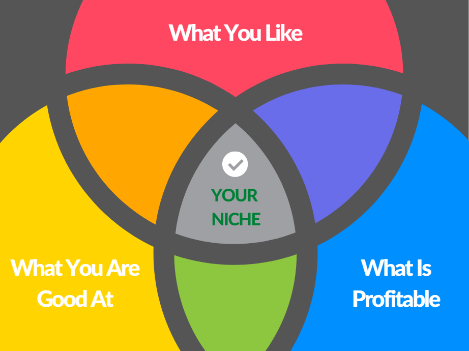 How to find a niche website