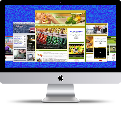 Micro Niche Websites